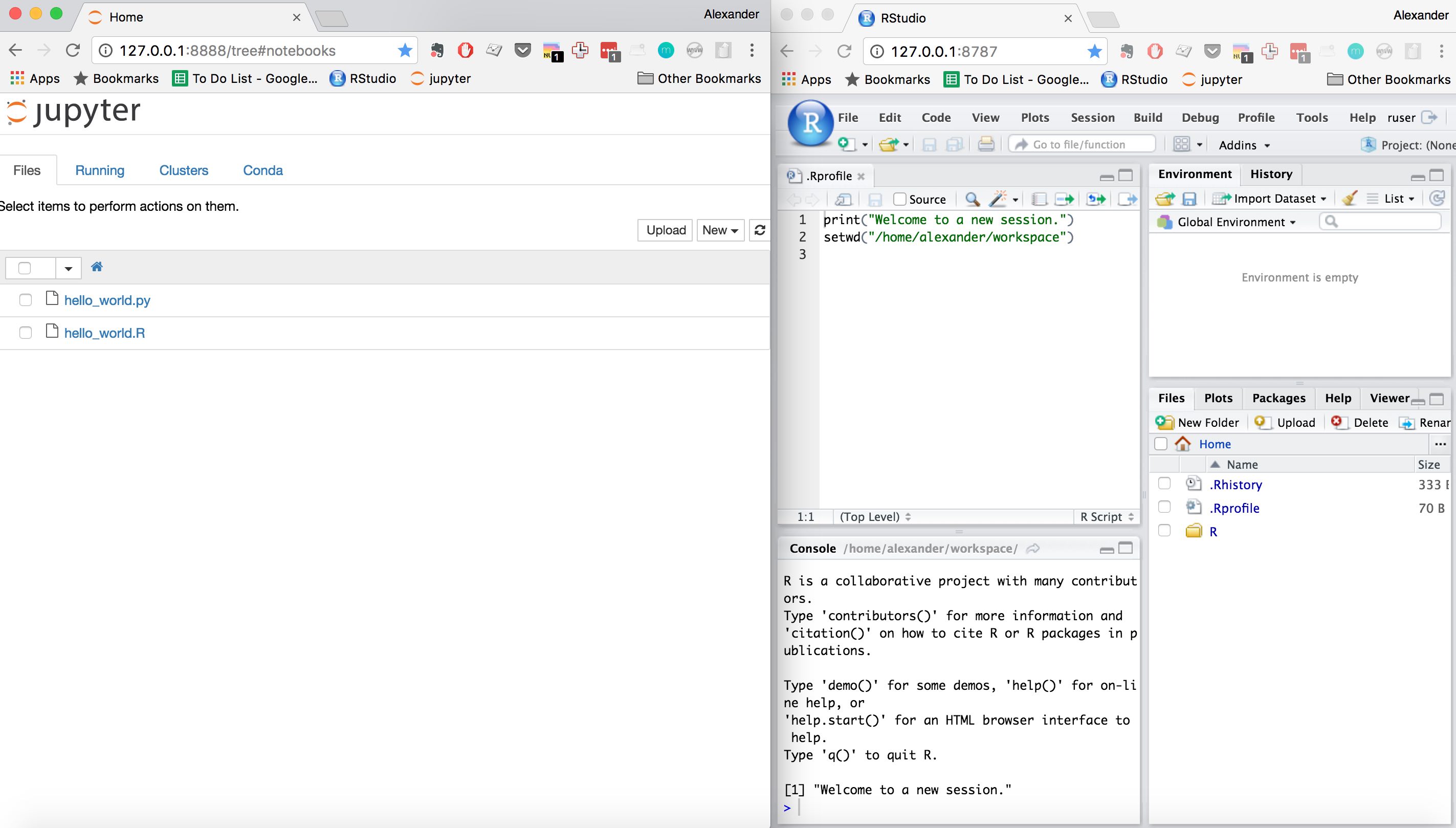 image of RStudio Server and Jupyter in Chrome